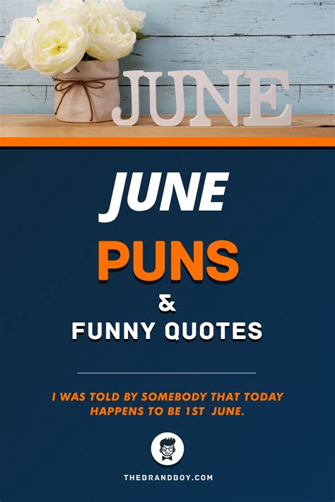 56 Best June Puns ﻿and Funny Quotes Funny Quotes June Quotes Puns
