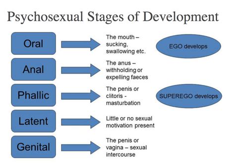 👍 Freud Oral Stage Freuds Psychosexual Stages Of Development Oral