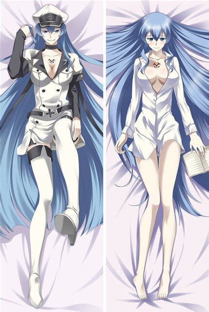 Hot Anime Akame Ga Kill Characters Sexy Girl Akame And Esdeath Pillow