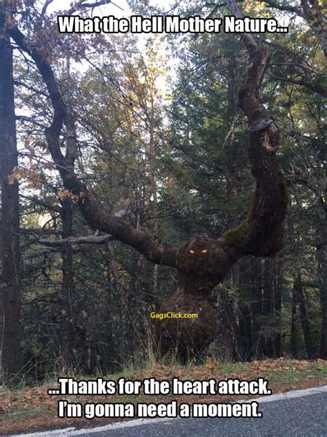 Thanks For The Heart Attack Mother Nature Humor Funny Pictures Funny