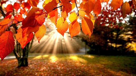 Beautiful Autumn Wallpapers The Wow Style