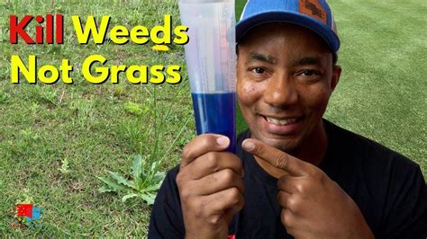 The 5 Best Weed Killer That Won T Kill Grass Review Artofit
