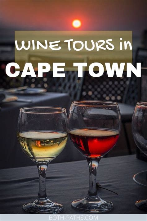 Everything You Need To Know About Cape Town Wine Tours Where To Go