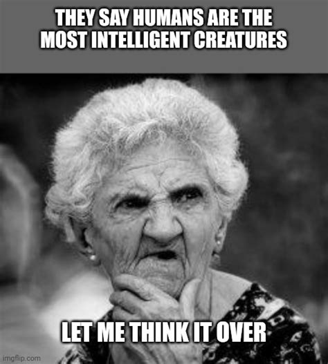 Confused Old Lady Imgflip