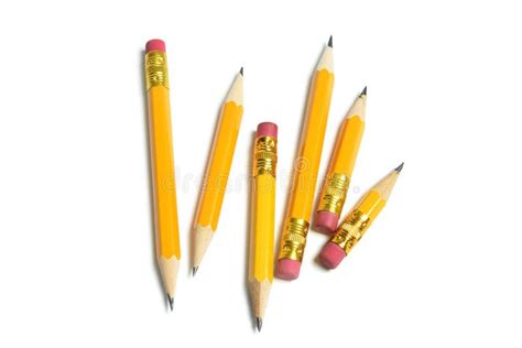 Short Pencils Stock Image Image Of White Supplies Implements 10777259