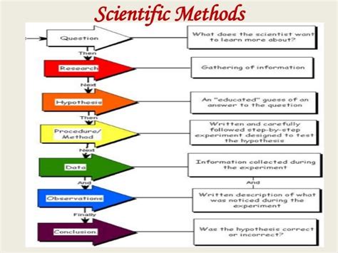 Research Methods In Social Sciences An Overview