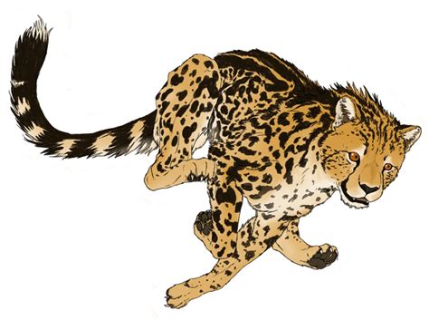 Cheetah PNG Transparent Picture | PNG Mart