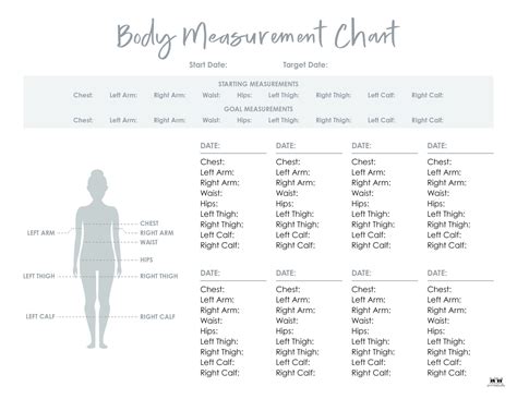 Body Measurement Charts Free Printables Printabulls