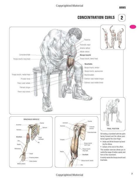 Strength Training Anatomy 3rd Edition Strength Training Anatomy