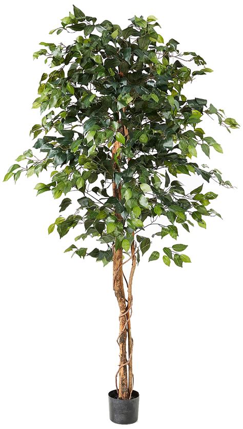 Best Artificial Trees Comparisons And Specifications Ziplen