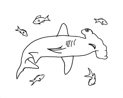 Tiburón Martillo con Peces para colorear imprimir e dibujar Dibujos