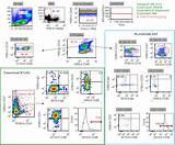 Flow Cytometry Software Pictures
