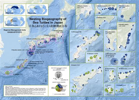 Japanese coverage will be on openrec.tv, with. Printed Maps — The State of the World's Sea Turtles | SWOT