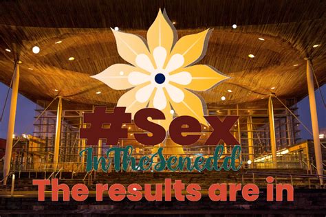 Sex In The Senedd What The Candidates Said Or Didnt Say Merched Cymru