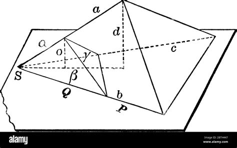 Diagramme Montrant Deux Tétraèdres Proportionnels Le Tétraèdre Est Un