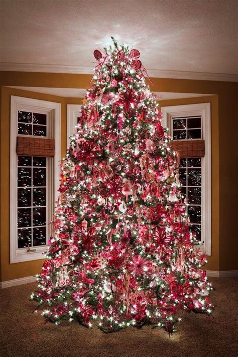 Pin By Toni J Swartz On Christmas Lights Creative Christmas Trees