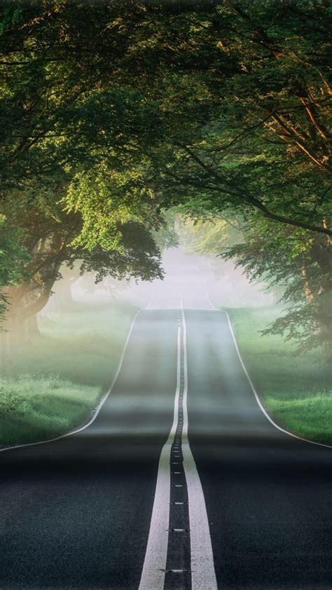 Download Wallpaper 540x960 Forest Road Through Trees Woods Nature
