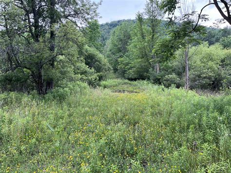 New York Land Quest 98 Acres Hunting Land And Recreational Land With
