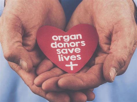 Becoming An Organ Donor Willingness