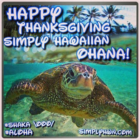 Happy Thanksgiving Simply Hawaiian Ohana Have A Blessed Day With