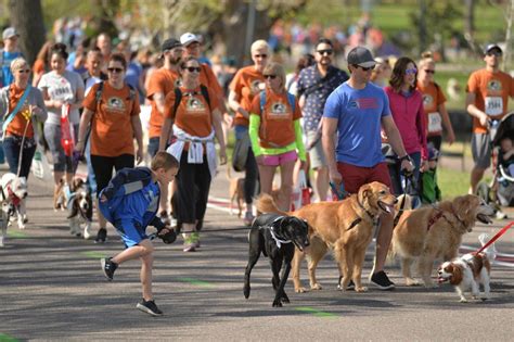 photos furry scurry celebrates 25 years at wash park the denver post