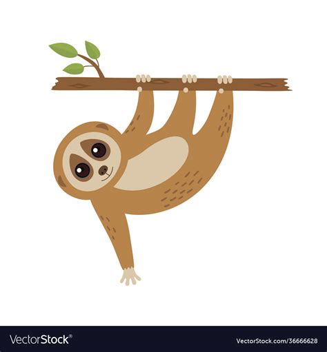 Wild Loris On Branch Royalty Free Vector Image