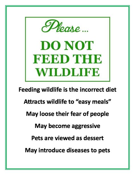 Do Not Feed Wildlife Village Of Delia