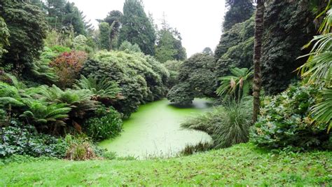 The Lost Gardens Of Heligan Salty Songs Cornish Blog