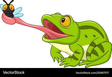 Cartoon Frog Catching Fly Royalty Free Vector Image