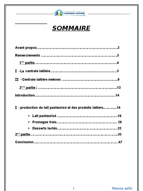 Rapport De Stage Sommaire