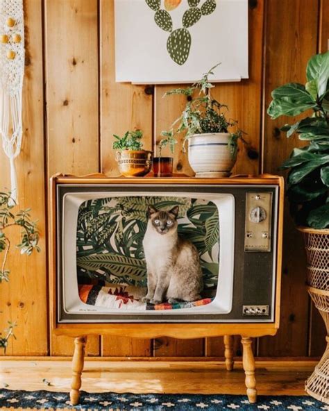 Craft A Vintage Tv Cat Bed For Your Far Out Feline