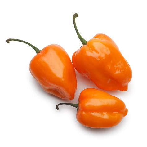 15 Proven Health Benefits Of Eating Habanero Pepper Poultry Farm