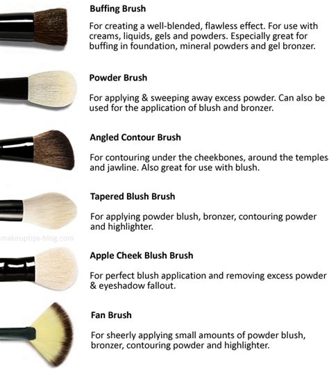 How To Use Each Makeup Brush Properly Trusper
