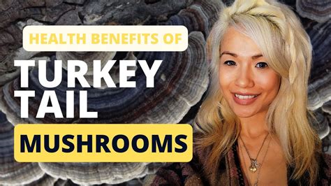 benefits of supplementing with turkey tail mushrooms youtube
