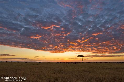 Photo Sunrise Over Maasai Mara Kenya