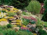 Images of Rock Hill Landscaping