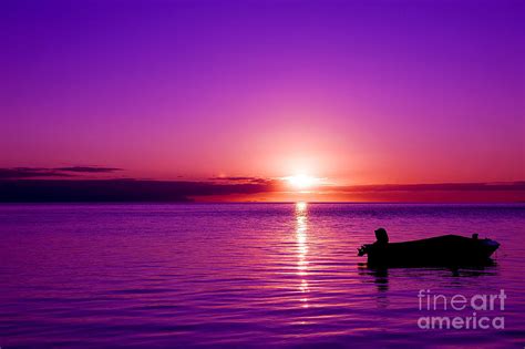 Purple Sunrise Photograph By Yew Kwang