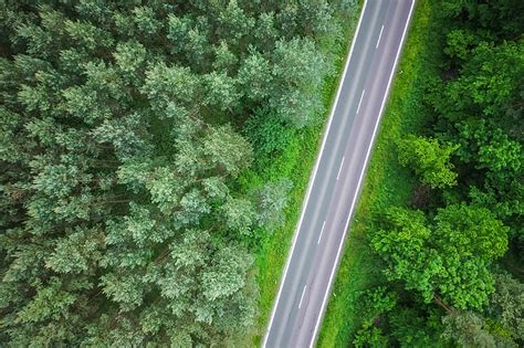 Royalty Free Photo Aerial View Of A Lonely Road In The Woods Pickpik