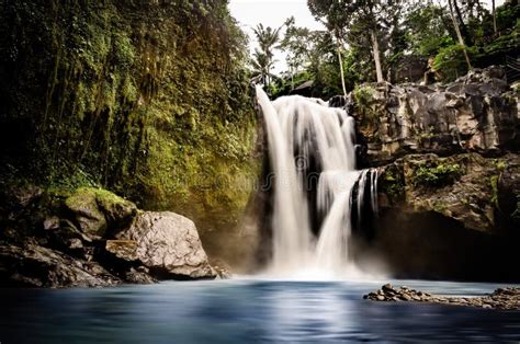 Waterfall Of A Cliff In A Lush Forest Tegenungan Waterfall On Bali