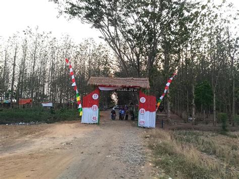 Pemandangan di sekitar teluk yang sangat menjorok ini pun layaknya hutan amazon, rimbun dengan berbagai pepohonan dan juga tanaman bakau. Wisata Haurgeulis Indramayu - Tempat Wisata Indonesia