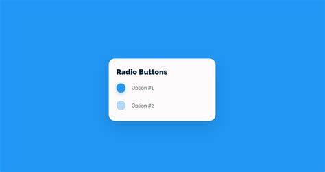 25 Radio Button Css Styles Examples Onaircode