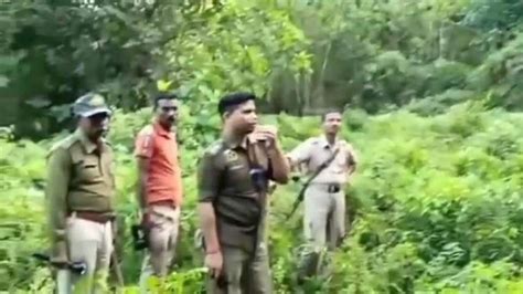 Assam Police Open Fire At Bangladeshi Cattle Smugglers Near