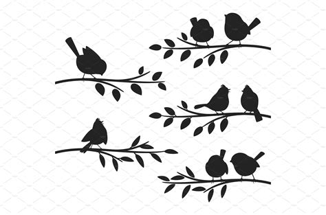 Birds Branches Silhouettes Bird Set Animal Illustrations Creative