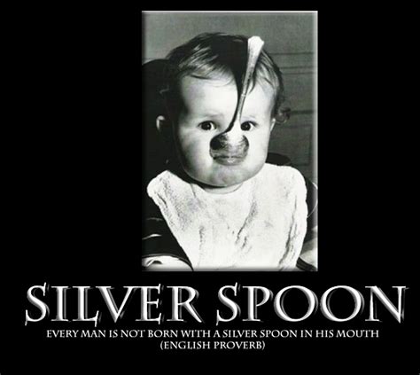 Born to wealth and comfort, born rich the student in our history class was born with a silver spoon in his mouth and has never worked in his life. Silver Spoon Quotes. QuotesGram