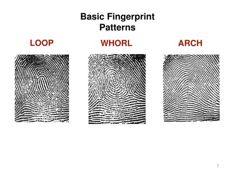 Ppt Chapter 4 Fingerprints Powerpoint Presentation Free Download