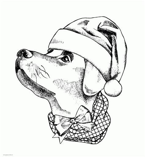 Detailed Dog Coloring Pages
