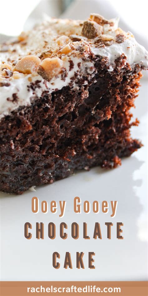 Ooey Gooey Chocolate Cake Better Than Anything Cake Rachels