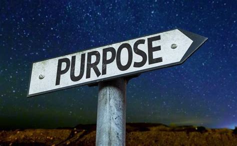 Finding Your Purpose Huffpost Life