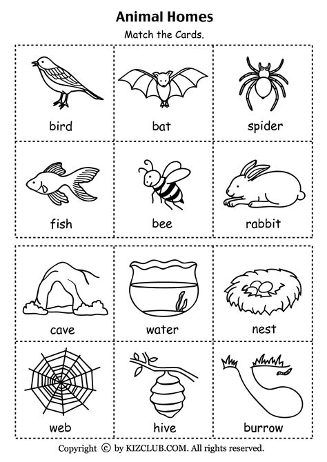 Animal Homes Worksheet Free Printable Preschool Science Kindergarten