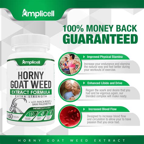 Horny Goat Weed 60 Capsules Amplicell
